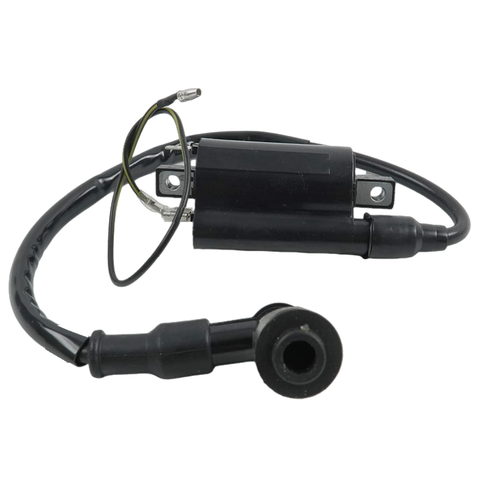 Ran Kusyu　0620 Amazon.com: LSSOCH New Ignition Coil AM120732 21121-2083